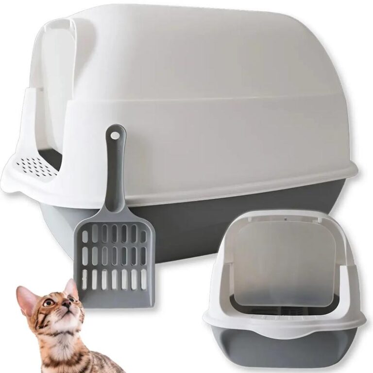 Jaki rozmiar kuwety dla kota jest najlepszy dla twojego pupila?